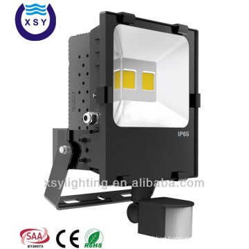 Super bright bridgelux led used 50w outdoor led flood light sensor